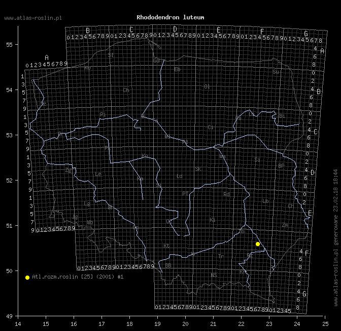 wystepowanie - Rhododendron luteum (różanecznik żółty)