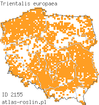 wystepowanie - Trientalis europaea (siódmaczek leśny)