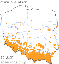 wystepowanie - Primula elatior (pierwiosnek wyniosły)