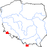 wystepowanie - Primula minima (pierwiosnek maleńki)