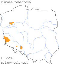 wystepowanie - Spiraea tomentosa (tawuła kutnerowata)