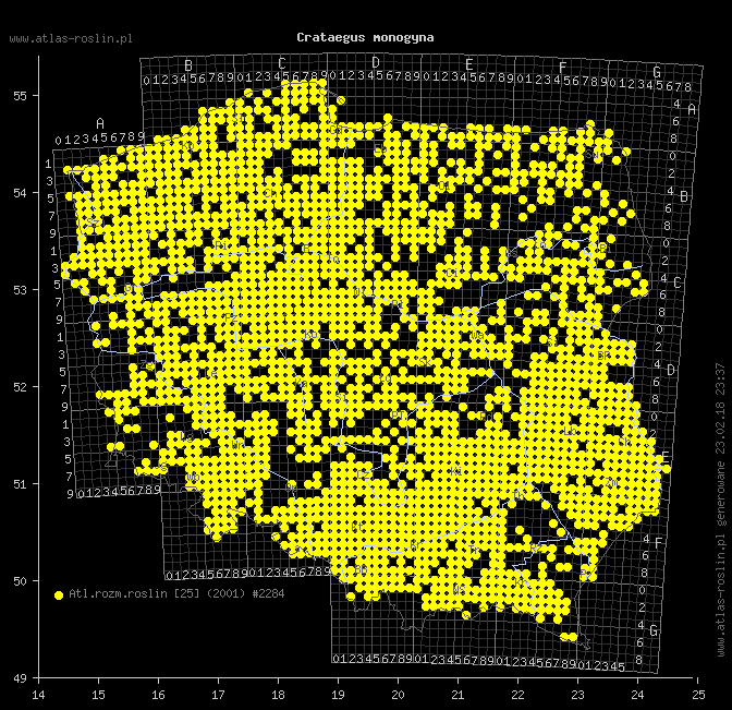 wystepowanie - Crataegus monogyna (głóg jednoszyjkowy)