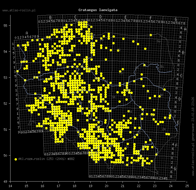 wystepowanie - Crataegus laevigata (głóg dwuszyjkowy)