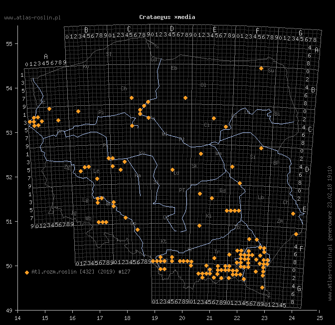 wystepowanie - Crataegus ×media (głóg pośredni)