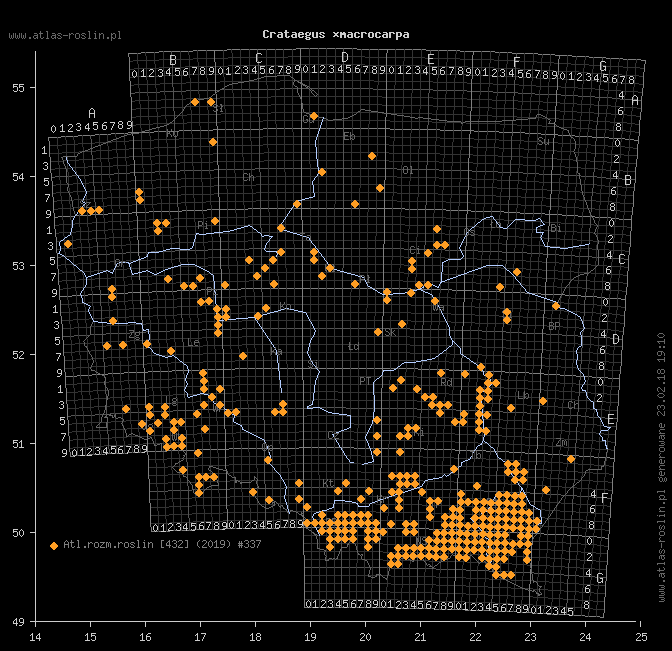 wystepowanie - Crataegus ×macrocarpa (głóg wielkoowocowy)