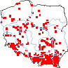 wystepowanie - Crataegus ×macrocarpa (głóg wielkoowocowy)