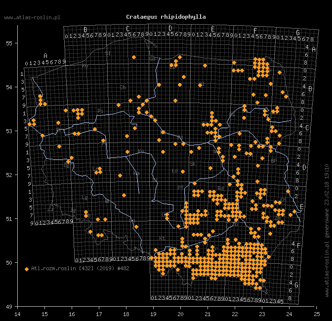 wystepowanie - Crataegus rhipidophylla (głóg odgiętodziałkowy)
