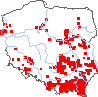 wystepowanie - Crataegus ×kyrtostyla (głóg nierównoząbkowy)