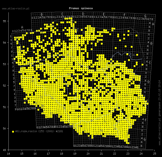 wystepowanie - Prunus spinosa (śliwa tarnina)