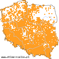 wystepowanie - Prunus spinosa (śliwa tarnina)