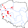 wystepowanie - Padus virginiana (czeremcha wirginijska)