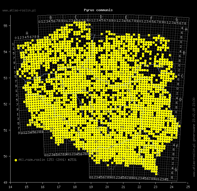 wystepowanie - Pyrus communis s.l. (grusza pospolita)