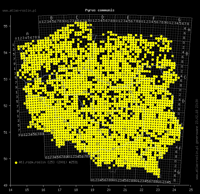 wystepowanie - Pyrus communis (grusza pospolita)