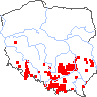 wystepowanie - Rosa agrestis (róża polna)