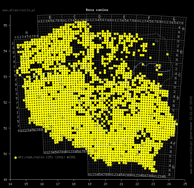 wystepowanie - Rosa canina (róża dzika)