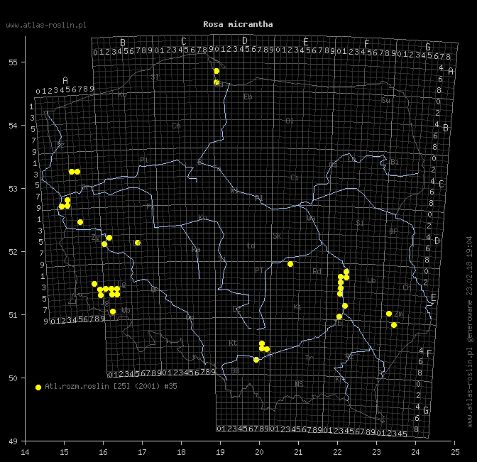 wystepowanie - Rosa micrantha (róża drobnokwiatowa)
