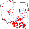 wystepowanie - Rosa multiflora (róża wielokwiatowa)