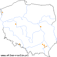 wystepowanie - Rubus occidentalis (malina czarna)