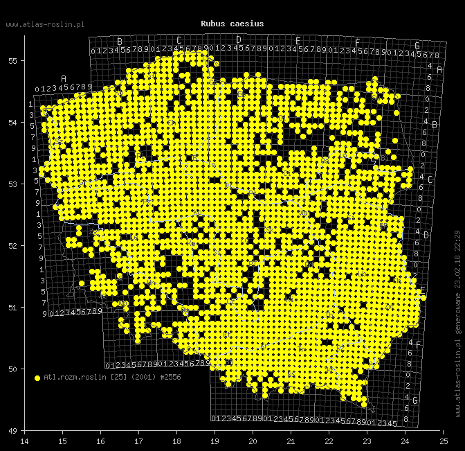 wystepowanie - Rubus caesius (jeżyna popielica)