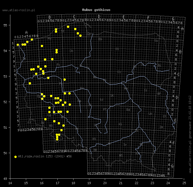 wystepowanie - Rubus gothicus (jeżyna gocka)