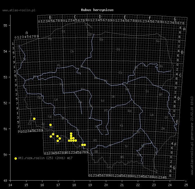 wystepowanie - Rubus hercynicus (jeżyna hercyńska)