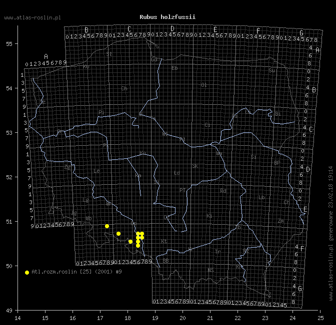 wystepowanie - Rubus holzfussii (jeżyna Holzfussa)