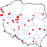 wystepowanie - Rubus laciniatus (jeżyna wcinanolistna)