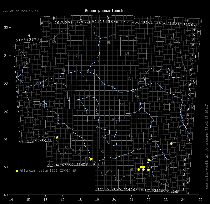 wystepowanie - Rubus posnaniensis (jeżyna poznańska)