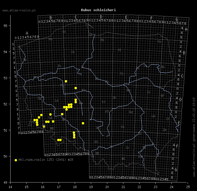 wystepowanie - Rubus schleicheri (jeżyna Schleichera)