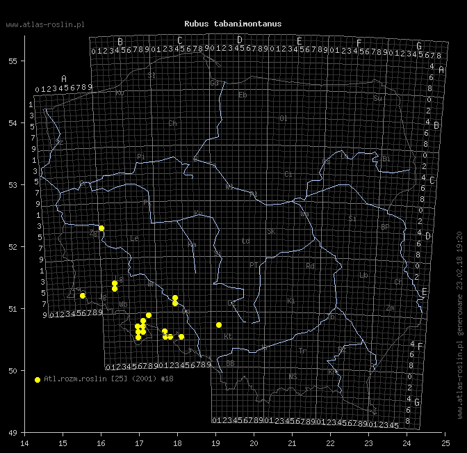wystepowanie - Rubus tabanimontanus (jeżyna fioletowopędowa)