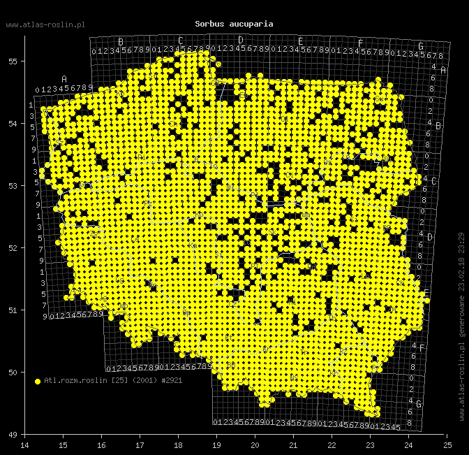 wystepowanie - Sorbus aucuparia (jarząb pospolity)