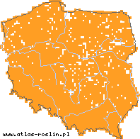 wystepowanie - Sorbus aucuparia (jarząb pospolity)