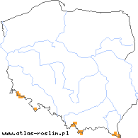 wystepowanie - Sorbus aucuparia ssp. glabrata (jarząb pospolity górski)