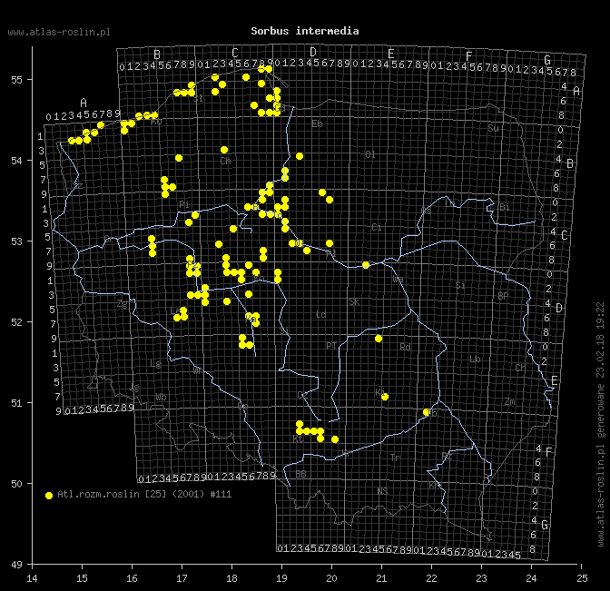wystepowanie - Sorbus intermedia (jarząb szwedzki)