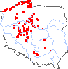 wystepowanie - Sorbus intermedia (jarząb szwedzki)