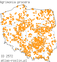 wystepowanie - Agrimonia procera (rzepik wonny)