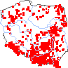 wystepowanie - Alchemilla acutiloba (przywrotnik ostroklapowy)