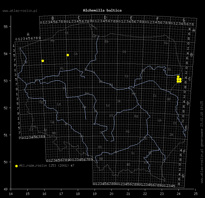 wystepowanie - Alchemilla baltica (przywrotnik przymglony)