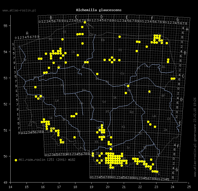 wystepowanie - Alchemilla glaucescens (przywrotnik kosmaty)