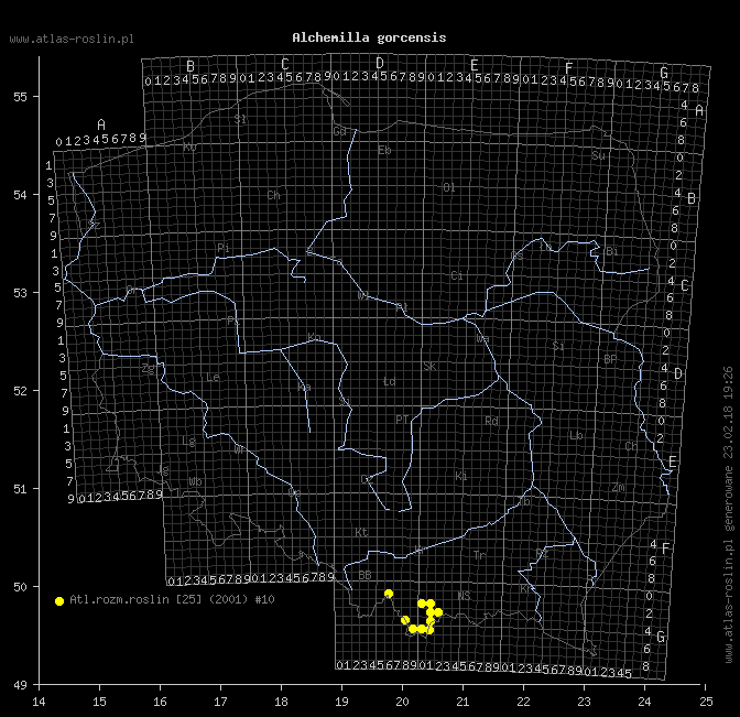 wystepowanie - Alchemilla gorcensis (przywrotnik gorczański)