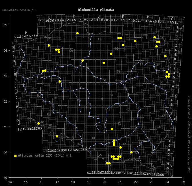 wystepowanie - Alchemilla plicata (przywrotnik płaskolistny)