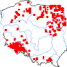 wystepowanie - Alchemilla propinqua (przywrotnik jasny)