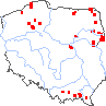 wystepowanie - Alchemilla sarmatica (przywrotnik sarmacki)