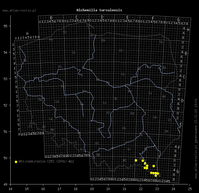 wystepowanie - Alchemilla turculensis (przywrotnik turkulski)