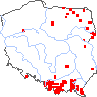 wystepowanie - Alchemilla walasii (przywrotnik Walasa)