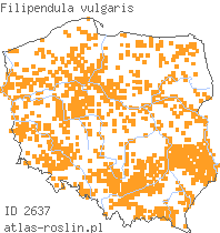 wystepowanie - Filipendula vulgaris (wiązówka bulwkowa)