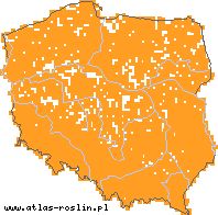 wystepowanie - Fragaria vesca (poziomka pospolita)