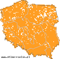 wystepowanie - Geum urbanum (kuklik pospolity)