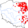 wystepowanie - Geum aleppicum (kuklik sztywny)