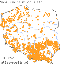 wystepowanie - Sanguisorba minor (krwiściąg mniejszy)